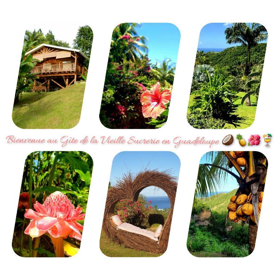 Gite 4 Etoiles, La Vieille Sucrerie St Claude Guadeloupe, Jacuzzi Spa Privatif, Vue Exceptionnelle Sur La Mer Des Caraibes باس تير المظهر الخارجي الصورة