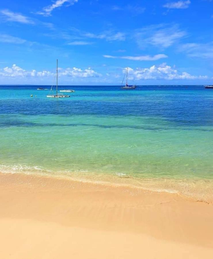 Gite 4 Etoiles, La Vieille Sucrerie St Claude Guadeloupe, Jacuzzi Spa Privatif, Vue Exceptionnelle Sur La Mer Des Caraibes باس تير المظهر الخارجي الصورة