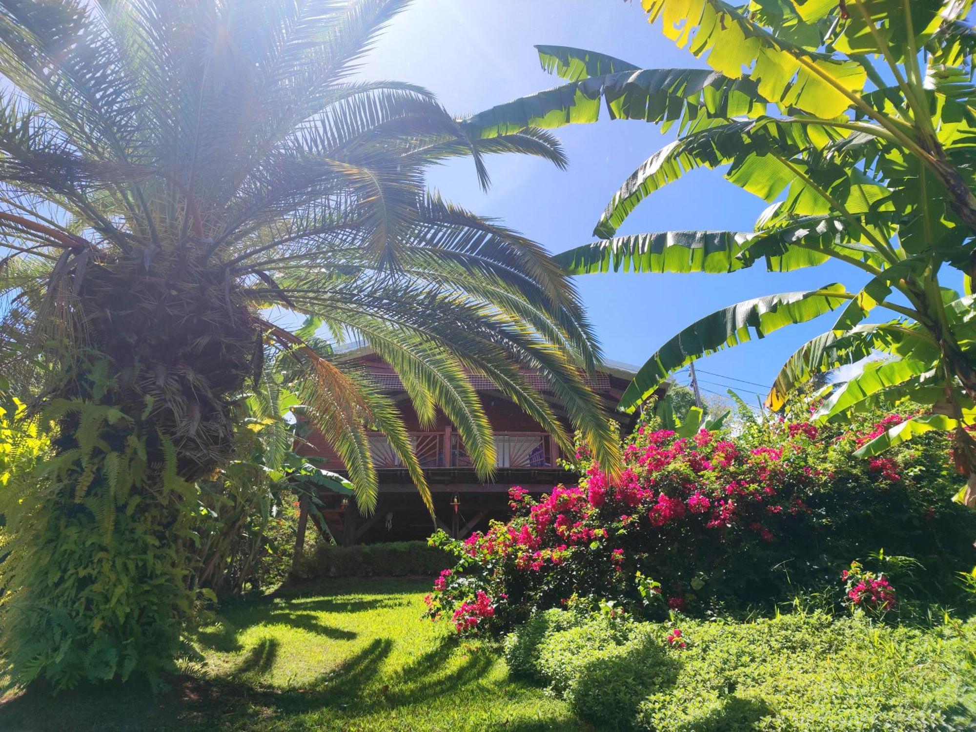 Gite 4 Etoiles, La Vieille Sucrerie St Claude Guadeloupe, Jacuzzi Spa Privatif, Vue Exceptionnelle Sur La Mer Des Caraibes باس تير المظهر الخارجي الصورة